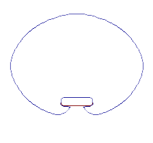 Image circle-2