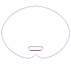Image circle-3
